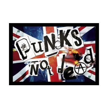 Punks Not Dead - Flag felvarró